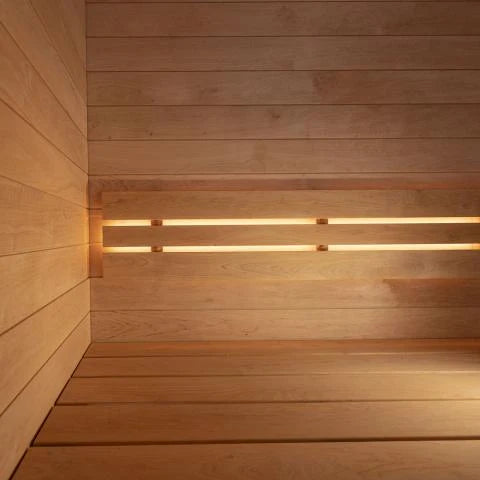 SaunaLife Model G6 - Sauna Pro